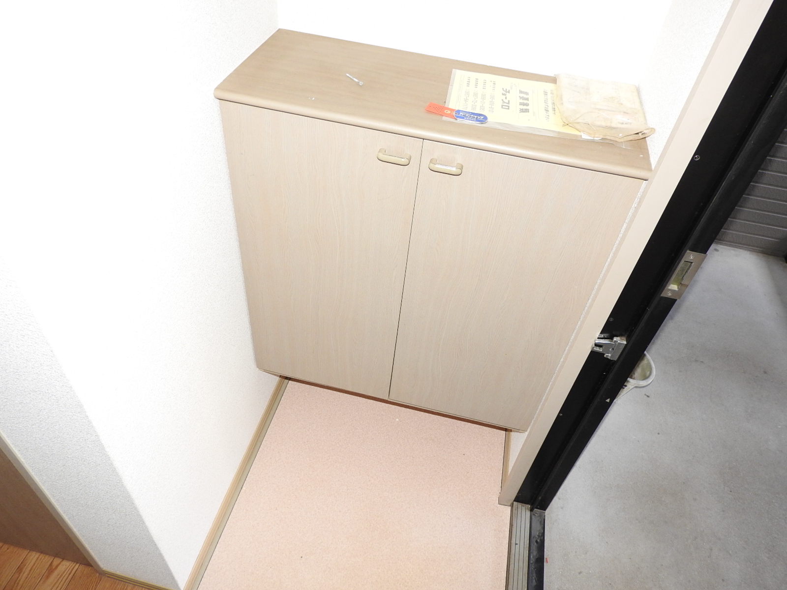 玄関　※別号室のお写真になります。