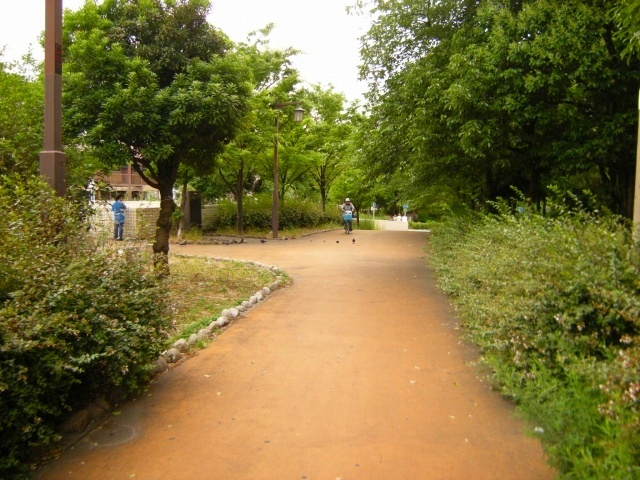 公園　大野川遊歩道（公園）まで916m