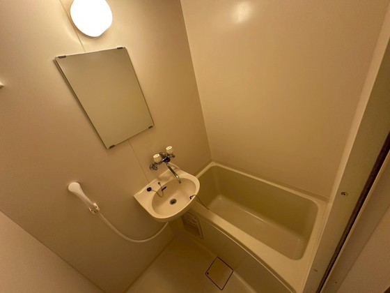 バス・シャワールーム　※別部屋の写真です