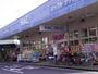 ドラックストア　ハックドラッグ綱島店（ドラッグストア）まで814m