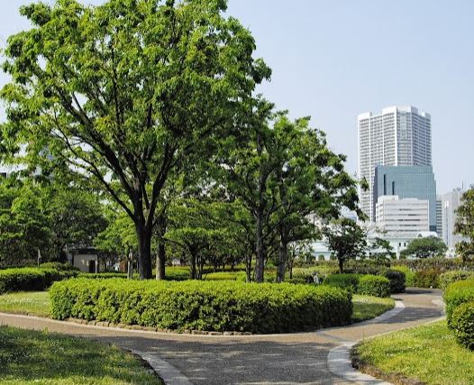 公園　芝浦中央公園アカネ・ハリマグループ（公園）まで600m