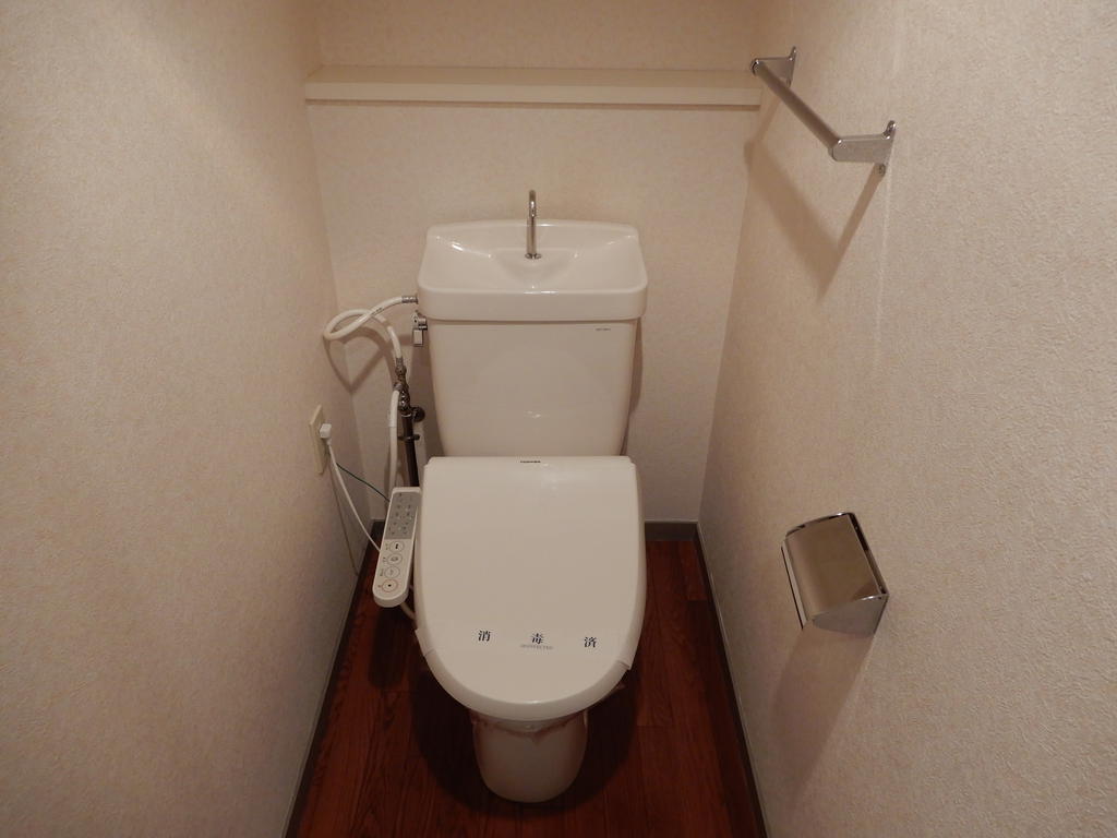 トイレ　写真は内装済み別号室