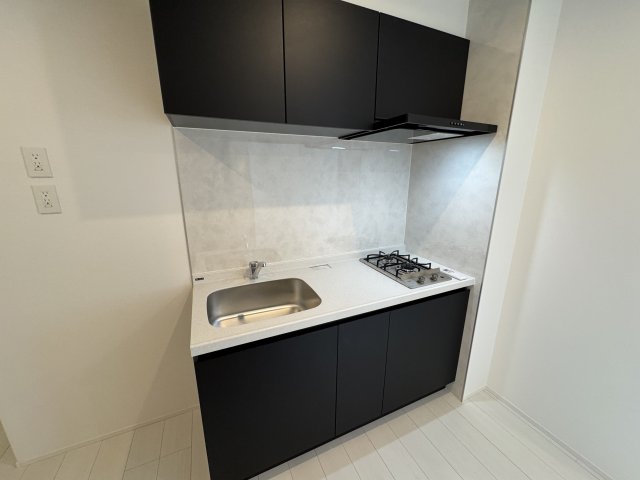 キッチン　同マンションの同間取り203号室画像