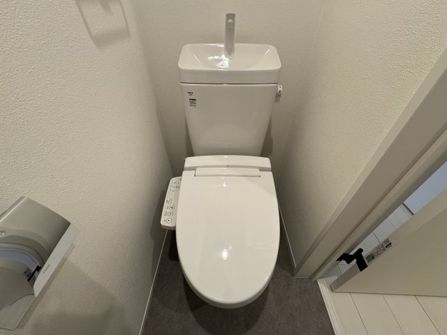 トイレ　同マンションの同間取り203号室画像