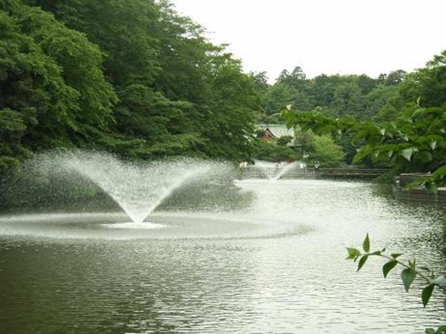 その他　井の頭恩賜公園（その他）まで816m