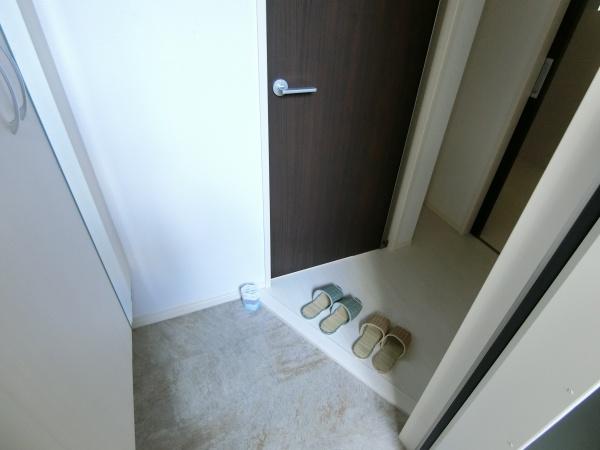 玄関　写真は同一物件の別部屋写真でイメージです