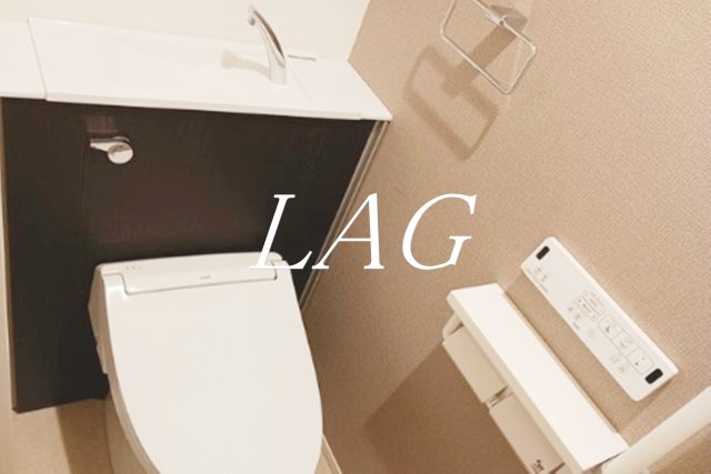 トイレ　トイレです。（同仕様です。）