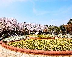 公園　里見公園（公園）まで3400m
