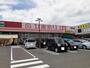 ドラックストア　ひまわり御幸店（ドラッグストア）まで1100m