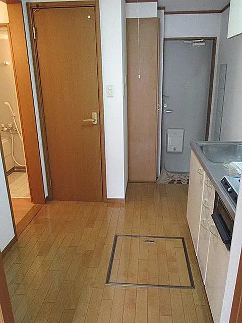 玄関　シューズボックス付きの玄関です(別部屋参考写真)
