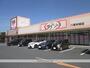 その他　ダイソー本城店（その他）まで1500m