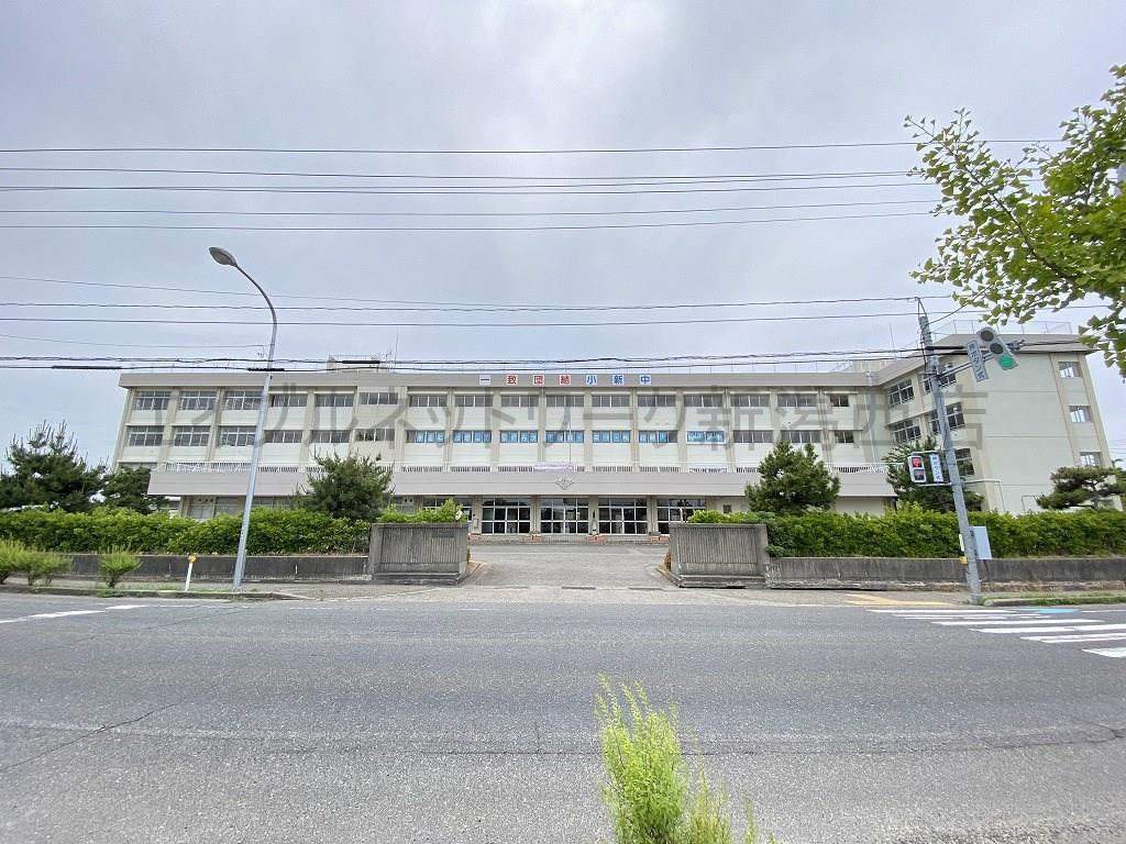 中学校　新潟市立小新中学校（中学校）まで363m