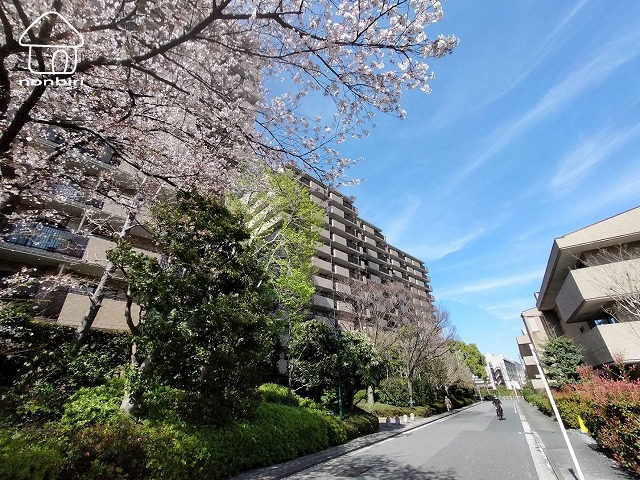 建物外観　緑が多いマンションです