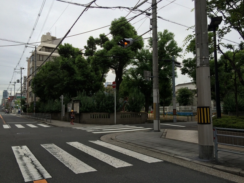 公園　新阪南公園（公園）まで89m
