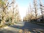 大学・短大　慶應大学日吉キャンパス（大学・短大）まで500m