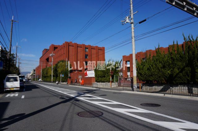 大学・短大　龍谷大学（大学・短大）まで1248m