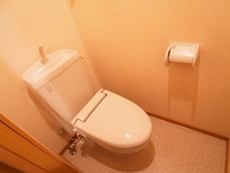 トイレ　同一物件別部屋写真