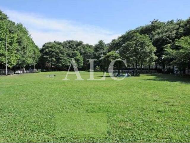 公園　都立城北中央公園（ドッグラン有）（公園）まで1163m