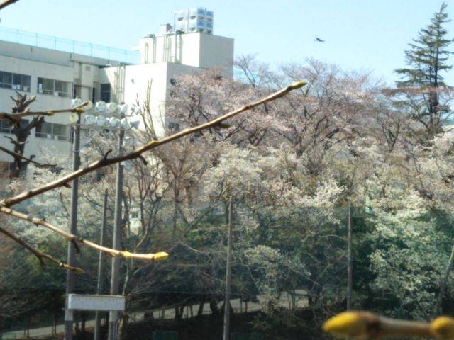 小学校　船橋市立高根東小学校（小学校）まで341m