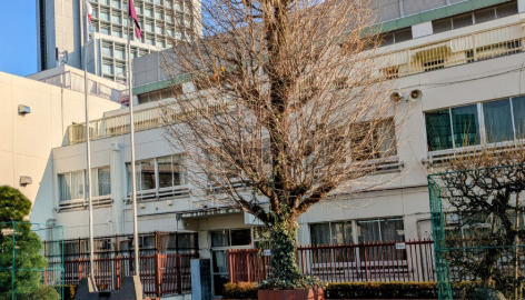 小学校　渋谷区立常磐松小学校（小学校）まで291m