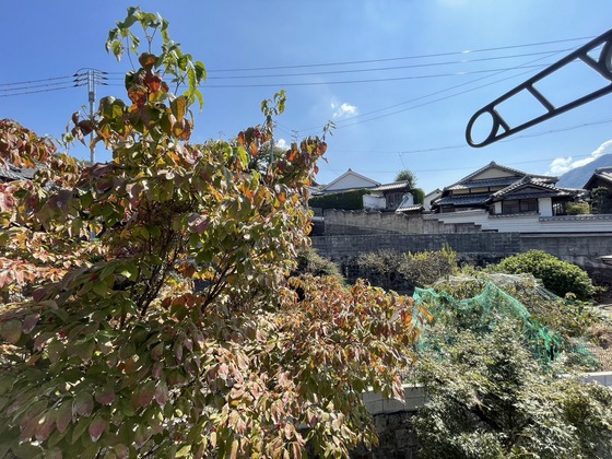 眺望　※別部屋の写真です