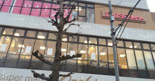 その他　DAISO オオゼキ碑文谷店（その他）まで770m