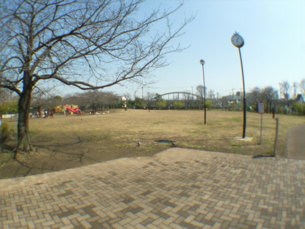 公園　桜川公園（公園）まで100m