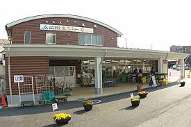 スーパー　伊勢原市農協 伊勢原支所農産物直売センター（スーパー）まで306m