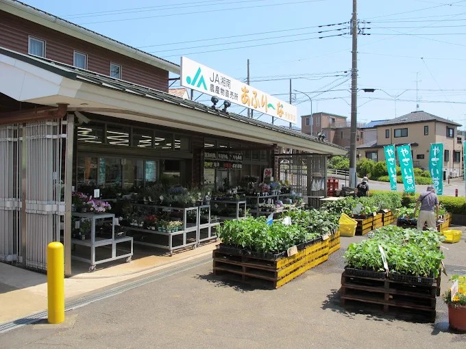 スーパー　JA湘南 あふり-な伊勢原店（スーパー）まで318m