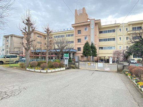 中学校　柏市立柏第五中学校（中学校）まで1816m