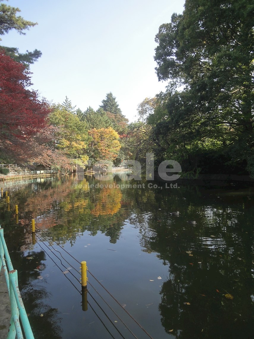 公園　武蔵関公園（公園）まで1006m