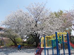 公園　東中公園（公園）まで481m