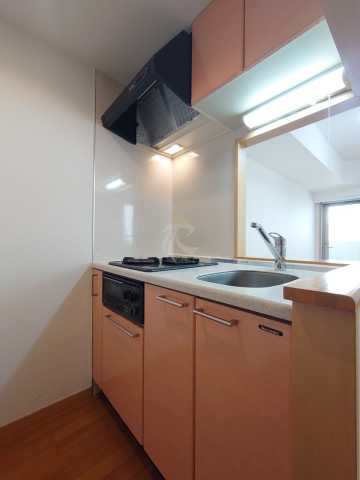 キッチン　マリオン新宿河田　別階参考写真