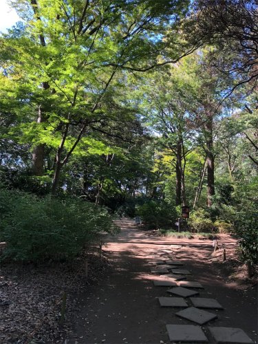 公園　染井の杜広場（公園）まで3292m