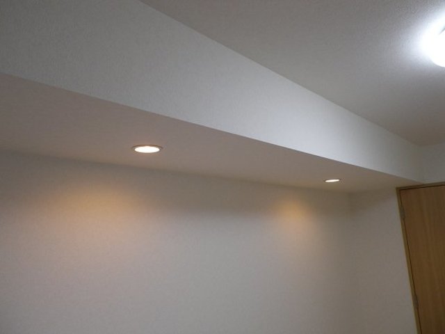 その他　ダウンライト