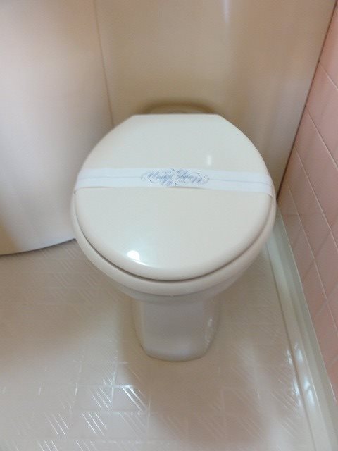 トイレ　類似タイプ参考写真掲載