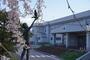 小学校　伊達市立東小学校（小学校）まで856m