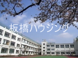 小学校　豊島区立椎名町小学校（小学校）まで254m