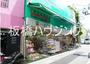 ドラックストア　ドラッグストア一本堂東長崎店（ドラッグストア）まで313m
