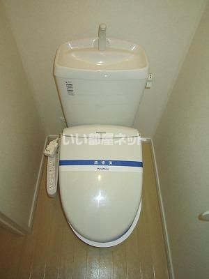 ＪＲ常磐線 赤塚駅 徒歩9分 2階建 築18年のトイレ写真