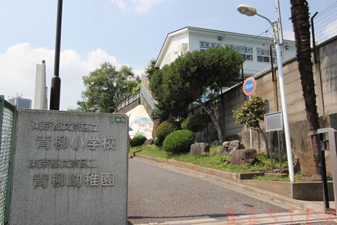 小学校　文京区立青柳小学校（小学校）まで709m