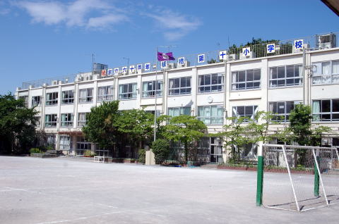 小学校　八王子市立 第十小学校（小学校）まで313m