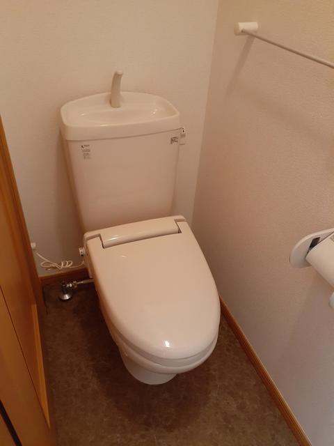 トイレ　トイレも気になるポイント