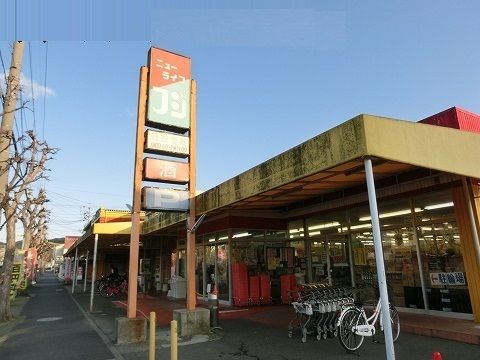 スーパー　ニューライフフジ岩田店（スーパー）まで650m