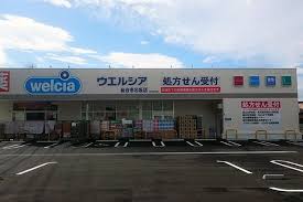 ドラックストア　ウエルシア仙台泉中央店（ドラッグストア）まで460m