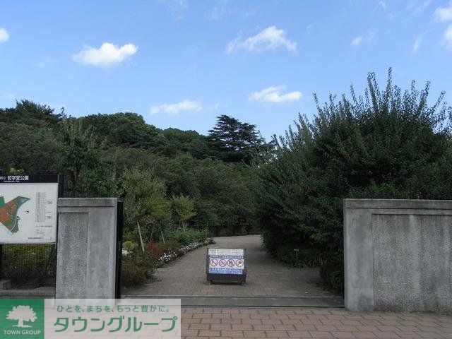 公園　哲学堂公園（公園）まで500m