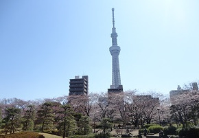 【セ ジョリ浅草ベルグレードの公園】