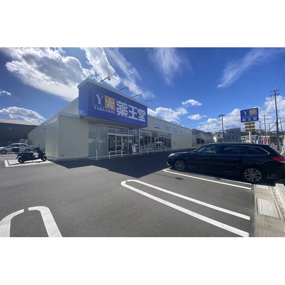 ドラックストア　薬王堂仙台南光台店（ドラッグストア）まで744m