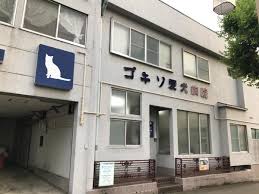 病院　ゴキソ愛犬病院（病院）まで623m