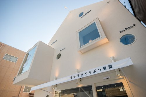 病院　モフモフどうぶつ病院（病院）まで944m